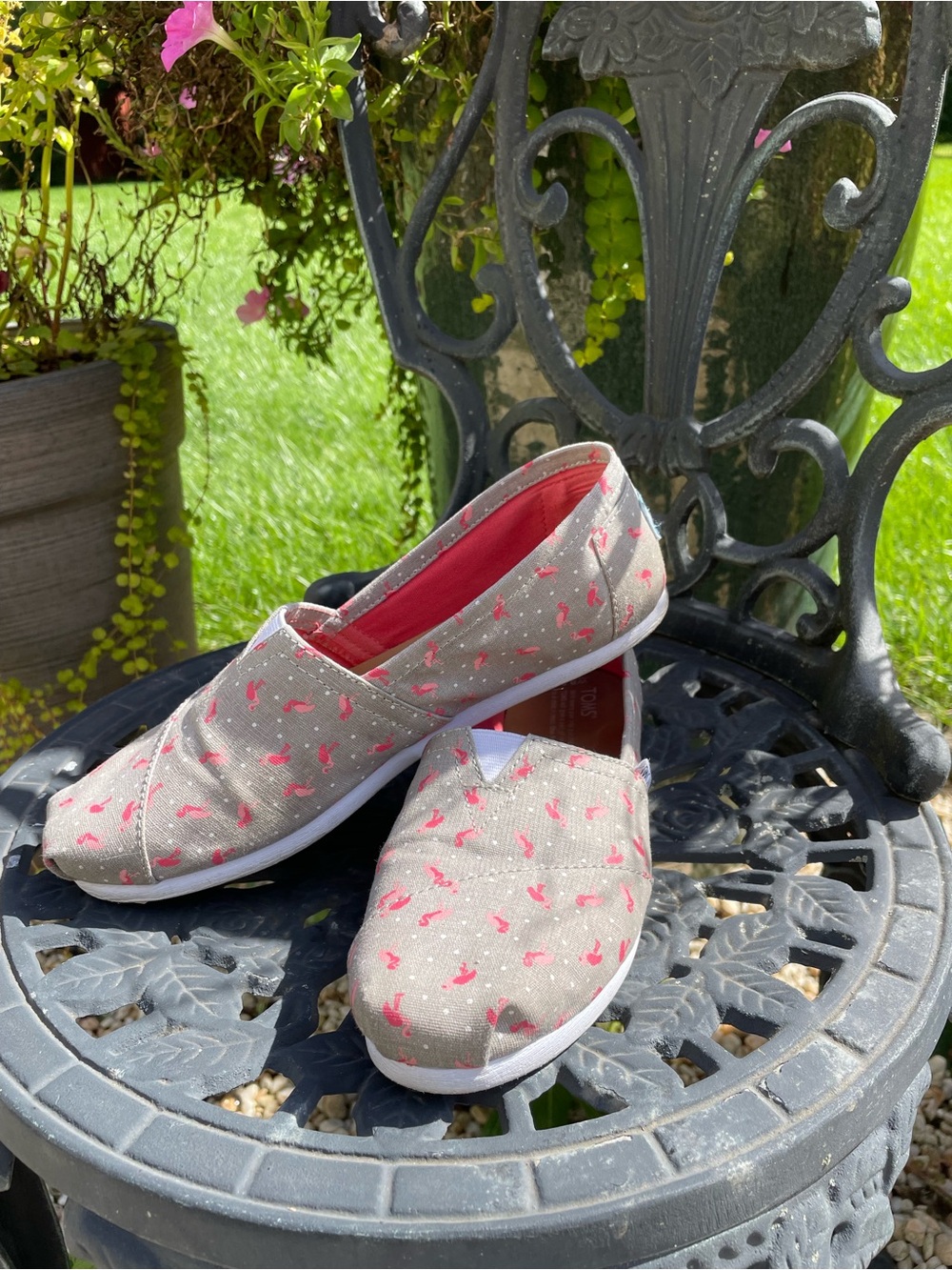 Toms Gray Canvas Slip-Ons with Pink Flamingo Print